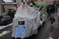 Bild in Gro�darstellung, Klimawandel Faschingswagen beim Wombacher Faschingszug