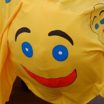 zum Faschingszug 2026